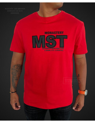 CAMISETA 1.1